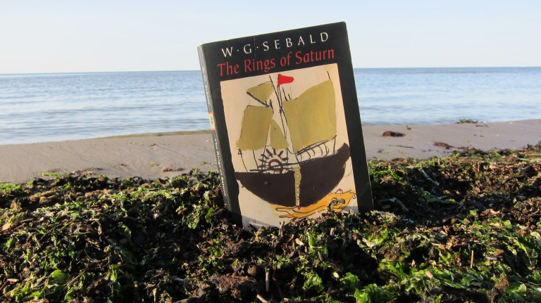 bbbooks_theringsofsaturn