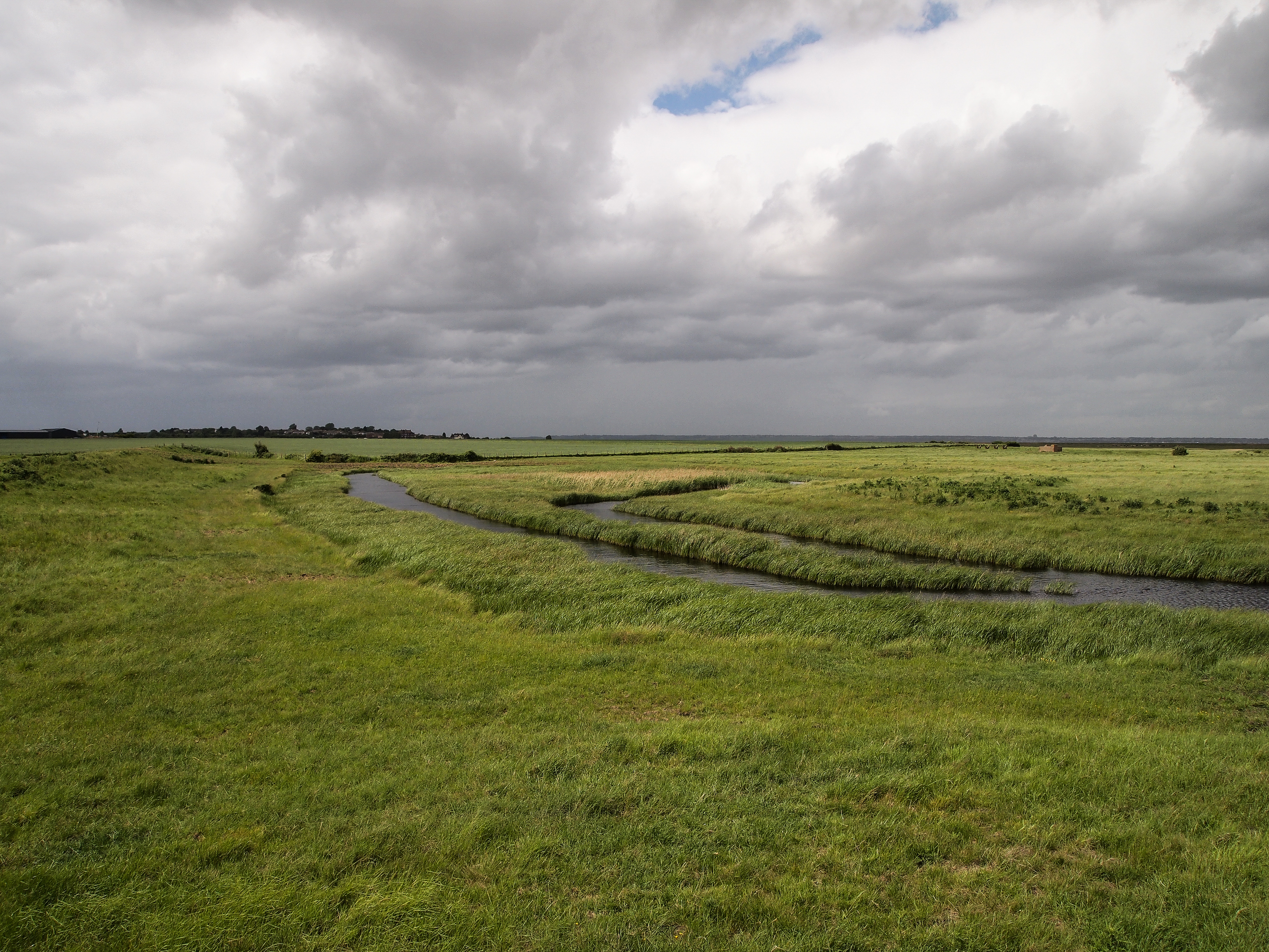 The marsh country, Hoo Peninsula, Kent. Photo: Julian Hoffman.
